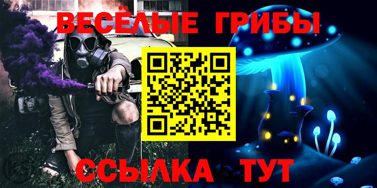 Буйнакск  Галлюциногенные грибы Psilocybine cubensis  Вход с VPN 