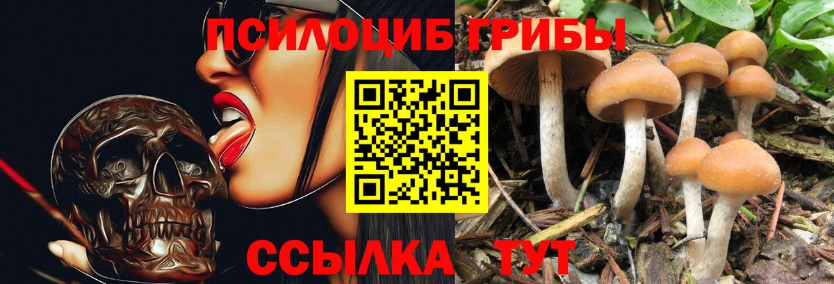 Псилоцибиновые грибы ЛСД Буйнакск
